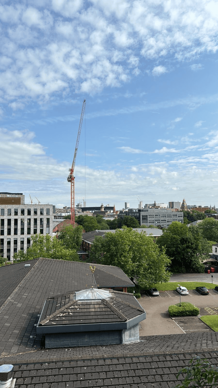 Tree Service Gallery Image 11