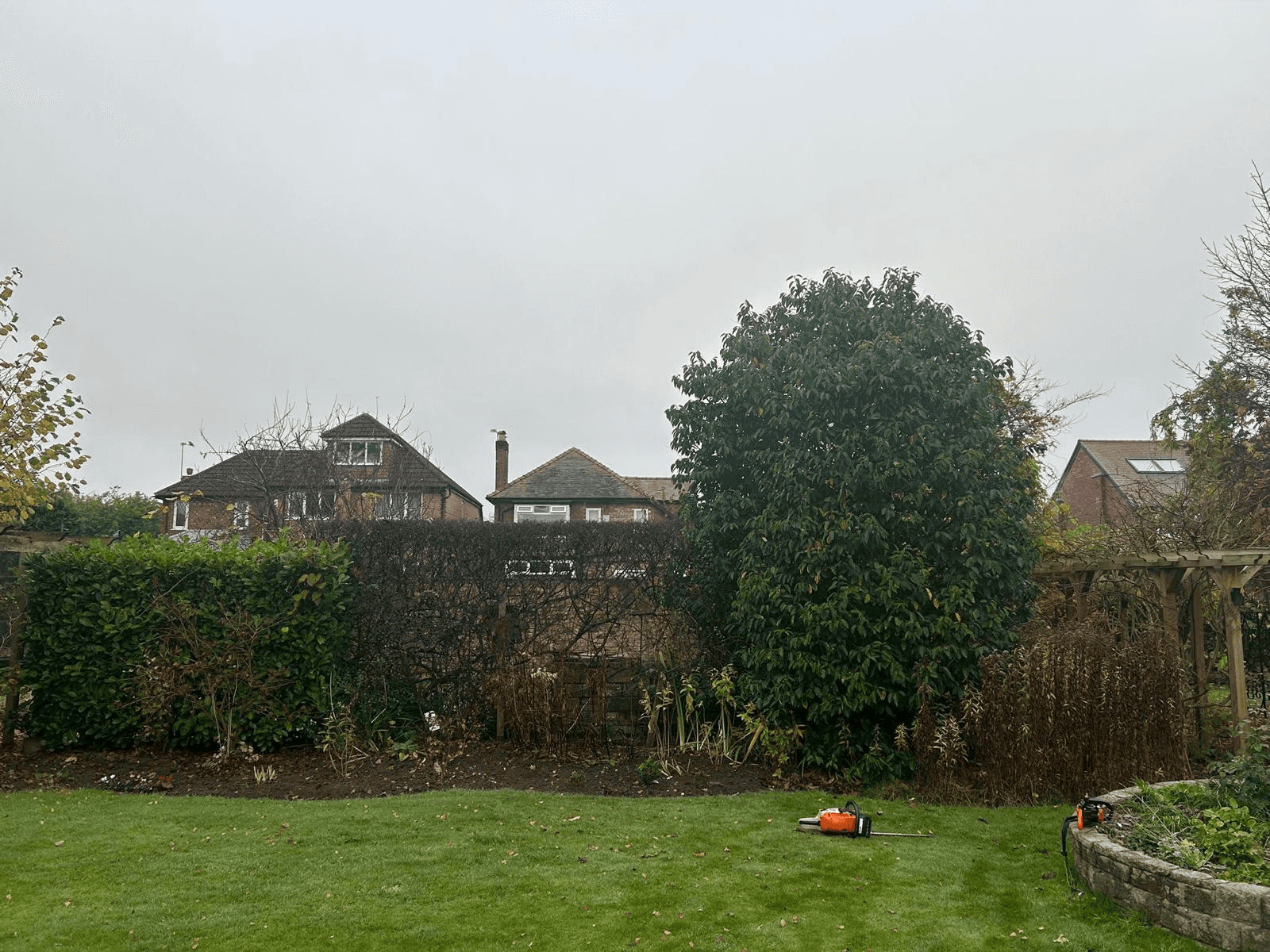 Tree Service Gallery Image 12