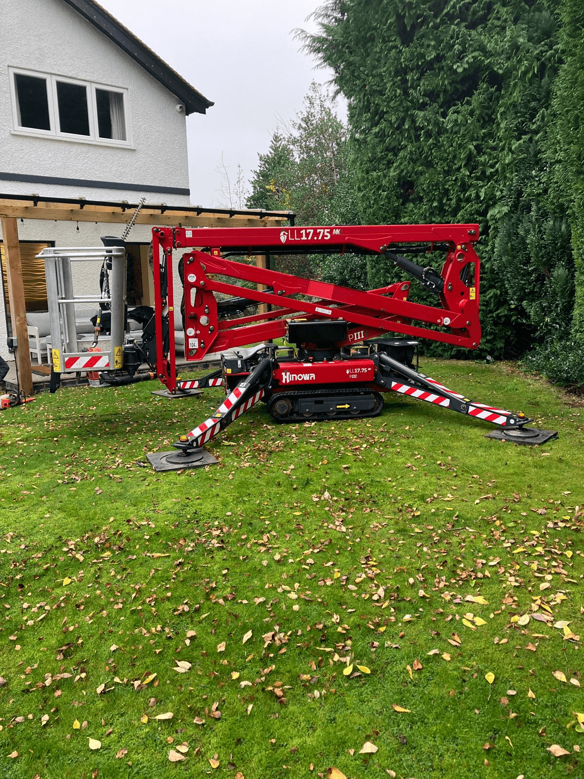 Tree Service Gallery Image 6