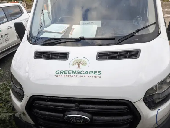 Professional Tree Surgery Services